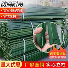 �����F��߅���������U�F�z�W�o�ڌ��ļ�Y��䓹��������ټ�֧�ΗU