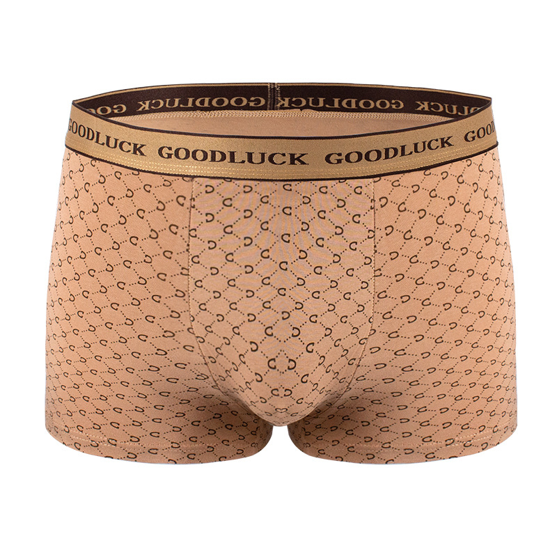 Ropa interior de algodón de lujo para hombres, algodón antibacteriano, cuatro esquinas, 2025, nueva tendencia, pantalones cortos bóxer transpirables deportivos para niños