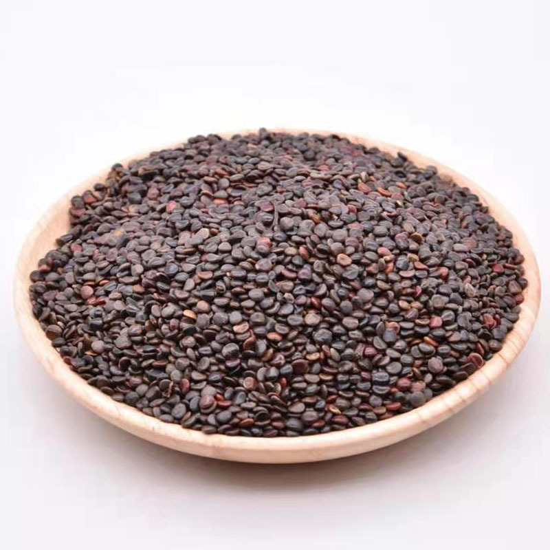 枳椇子1000克华美中药 中药材现货批发供应新货 枳具子 量大从优-阿里巴巴