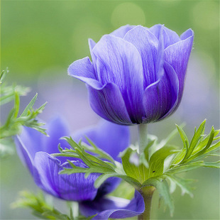 5�w�yɏ���N������m�M�ڶ����ͺ������������L�����޸�����