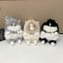 �ɐ�ë���׳��Ⱥ����YС؈�p����W�����й�����ż��Ů���¿��
