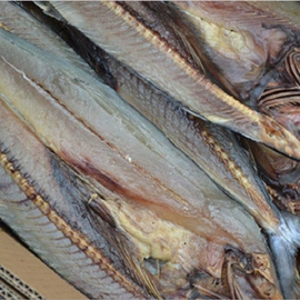 水产干货类;鱼类零食;海参