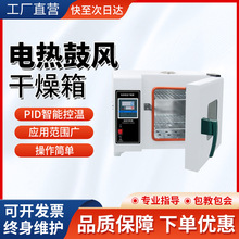 電熱恆溫鼓風干燥箱高溫加熱烘箱工業烤箱汽車大燈烤箱實驗室烘箱