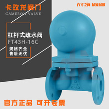 �ܗU����ʽ������ˮFT43H-16C����������FT13H�ݼyʽ��ˮ��ֱDN50