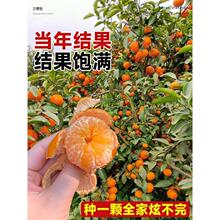 ���Ә����ɰ�ǽ��ϱ����NֲͥԺ���Ե��d�ҰҸ̼޽Ӹ����۽۹���