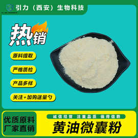 黄油微囊粉70% 黄油粉 小分子黄油提取物 水溶性食品级原料 现货