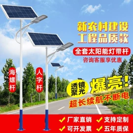 道路照明灯;景观灯;太阳能灯
