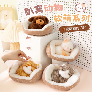 ����ɐ�����؈�������ë�q��ż�����Ȍ�؈�C܇�d�[���ͶY������