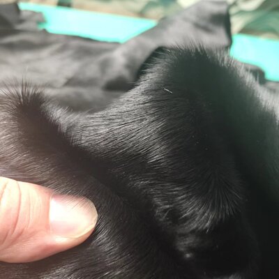 黑色纯马毛皮头层马皮毛皮一体鞋包服装地毯家具面料|ms