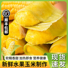 ��ľ�~���硿�r�{��������360g*3�����������ك�ʳƷ���Ʒ���
