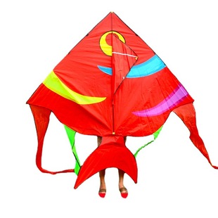 Weifang Hongyun Kite Wholesale New Children's Cartoon Rainbow Swallow Fish Kite Large, Medium and Small Breeze Kite Free Shipping