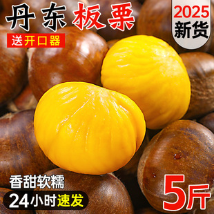 2025�굤�|�������r������5�����ǳ�ë���������F��������]