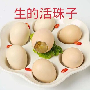 �����������u�ߵ�13�����������䓻�������ë���뵰���P��