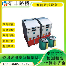 智能张拉设备桥梁数控同步张拉系统一拖二负弯矩压浆预应力张拉机