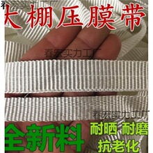 大棚压边条绷带大鹏压膜绳固膜绳子压棚带固膜扁带拉线防风绑托幕