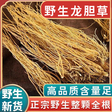 正品野生龙胆草新货中药材500g正宗苦胆草整株龙胆草纯根切断磨粉