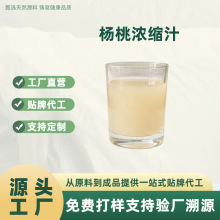 杨桃浓缩汁 新鲜压榨 饮料果酒原料 量大价优