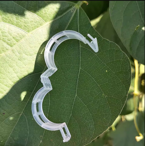 植物固定夹 塑料绑蔓植物夹绑枝夹吊蔓夹扶蔓夹藤蔓绿萝固定夹