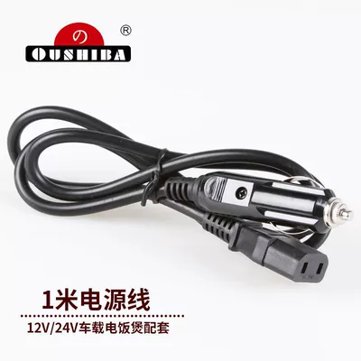 Digər kiçik elektrik cihazlar | 12V24V Car Use 220V Home
