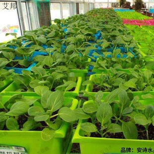 Coconut brick in large quantities [net weight Jin Super coconut Bran Wang Gao bubble hair] Large-sized coconut powder brick vegetable planting soil delivery batch