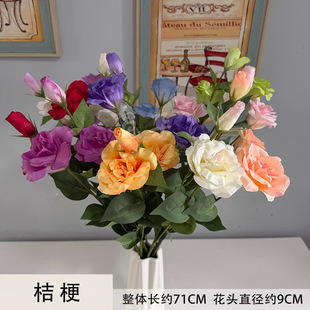 �۹����滨��Ʒ�|�۹��ٻ���Y�b��쾰�ٻ��ļҾӿ͏d�[�����滨