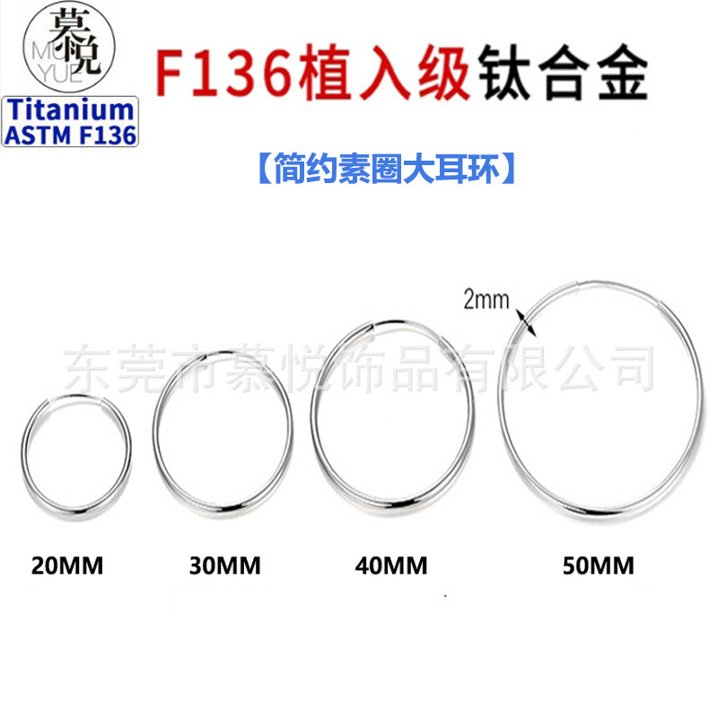 F136 Titanium Alloy Earrings, Large Hoop, Simple Design, Thin Hoop, Plain Hoop Earrings for Women, Exquisite, Light Luxury, High-End Feel, Versatile