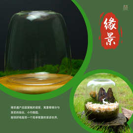 微景观生态瓶养鱼玻璃瓶桌面水培植物鱼缸水苔藓微景观植物盆栽