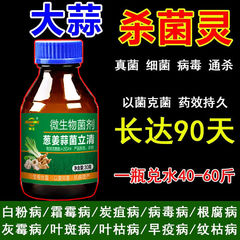 ニンニク用菌立清微生物菌剤黄葉錆病紫斑ニンニク農業用快速殺菌菌立清規格品