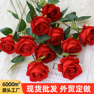 ��֧�q���ָ���˼õ���滨��Y�þƵ��b����˻���ֲ�q����õ��