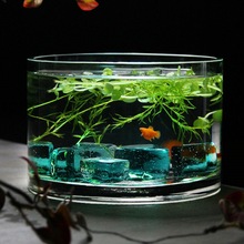 桌面圆形玻璃鱼缸小型鱼缸客厅玻璃花瓶金鱼缸乌龟缸圆柱形加厚