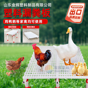 �u��©�S�� �r�u���Z�üӺ�����©ʺ�� �N�u��������©�S��S��