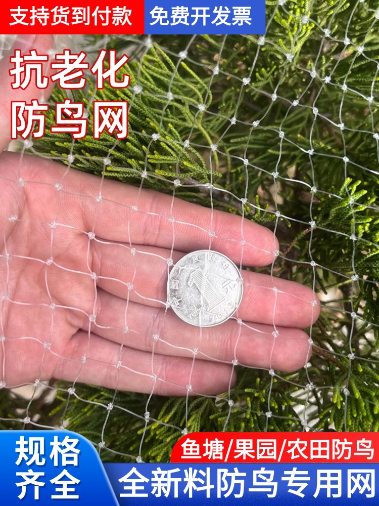 防鸟网果树果园防小鸟的网大棚尼龙线防鸟网鱼塘阳台樱桃树葡萄树