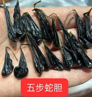 ����ɽ�岽��đ�� �岽��đ ��������đ ����đ ��đ