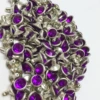 11 purple