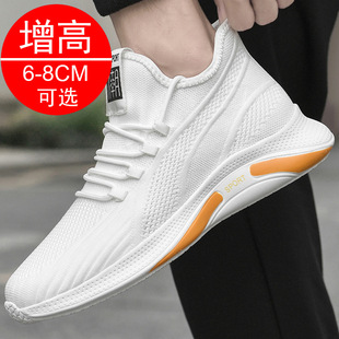 �＾�¿��������Ь8cm�n��͸�����eЬ6�[������Ь������Ь�\��Ь