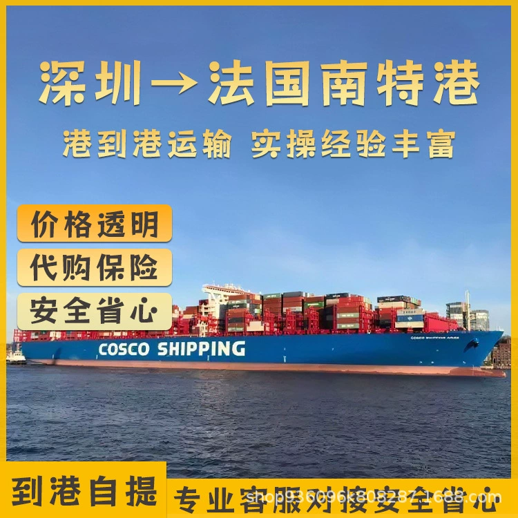 Электрический скутер литиевая батарея Шэньчжэнь FCL/LCL Морской CIF в порт Нант, Франция