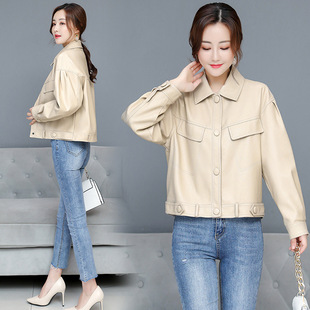 �W؛2026�����¿�dƤƤ��Ů���əC܇���̿�Ƥ�A������Ů