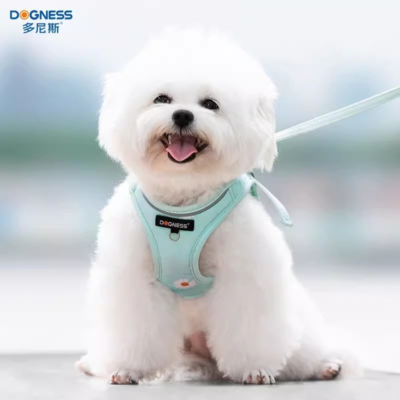 Donis 개 스트랩 나가는 가슴 스트랩 개 걷는 밧줄 조정 가능한 조끼 통기성 반사 가슴 뒤 견인의 세트