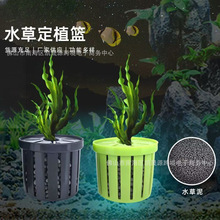 �~�׌���ˮ�ݶ�ֲ�@�쾰�b��B�ݱ����̸ܹ���ˮ������׹̶���