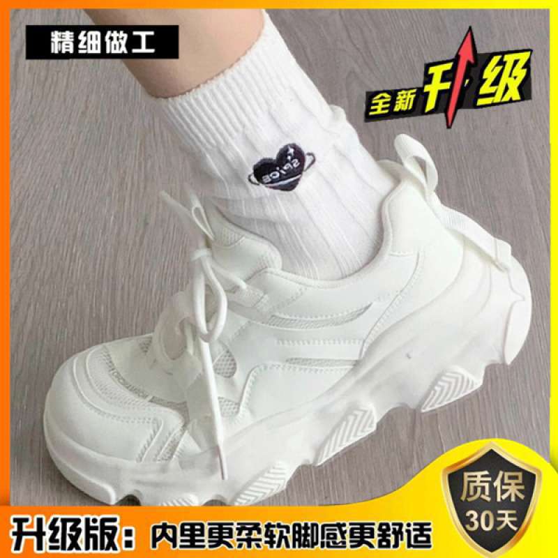 화이트 + [업그레이드 버전]