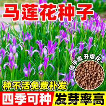 �Rɏ���N�Ӷ������o�¹����������B�ޏ�ˮ�����־G���^�p���ܷN��