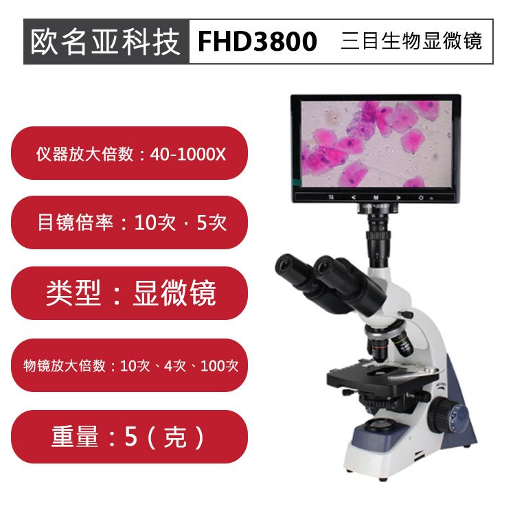 三目生物显微镜，高清成像，大视野，细菌血液检测