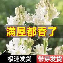 �ذ�������N������ҹ����������r���ܾGֲ��ͥԺ������ٺϻ���