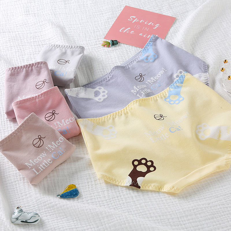 40 Combed Pure Cotton Student Underwear Women's Young Girl's Cussy Foot Printed Pure Cotton Antibacterial Breathable Women's Underwear