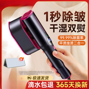 Handheld Garment Ironing Machine Household Small Iron Portable Steam Electric Iron for Ironing Clothes Fresh Velvet