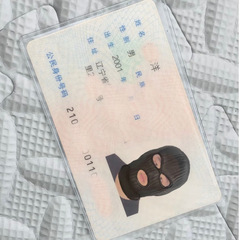 Identity card photo parody card sleeve wholesale Xiaohongshu style parody ID card protector transparent anti-magnetic