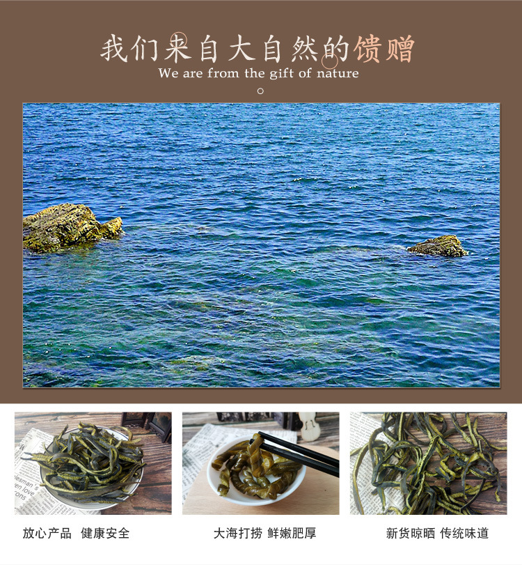 Dried Sea Moss Strips Hai Rong Si 500g Wild Seaweed for Cold Dishes and Vegetarian Cooking key features