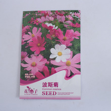 ˹ջNӸɣN߲ʻNļ_׻ͥԺN