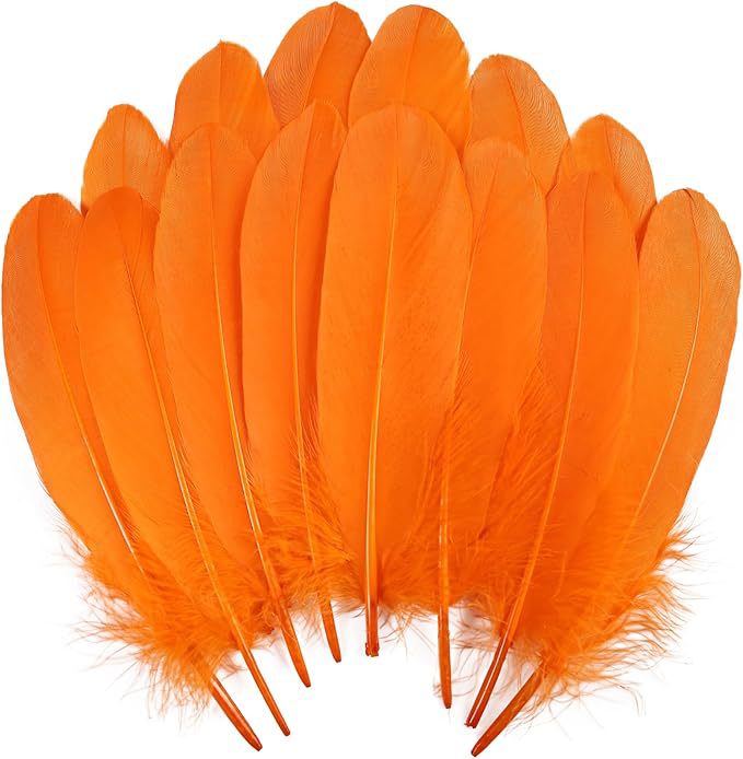 Fabricantes lotes plumas de ganso blanco natural plumas DIY artesanías accesorios de ropa de boda accesorios de decoración artesanal image 20