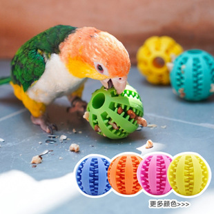 �羳���N�W�^Ғʳ��ĥ���Ϳ�ҧ���ǽ␞©ʳ���X�W�^���P�������